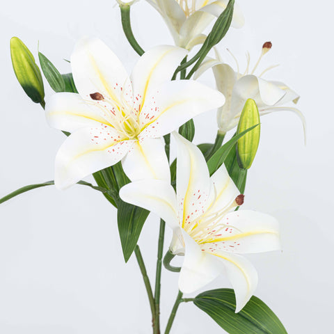 21" LILY BUSH WITH 5 HEADS