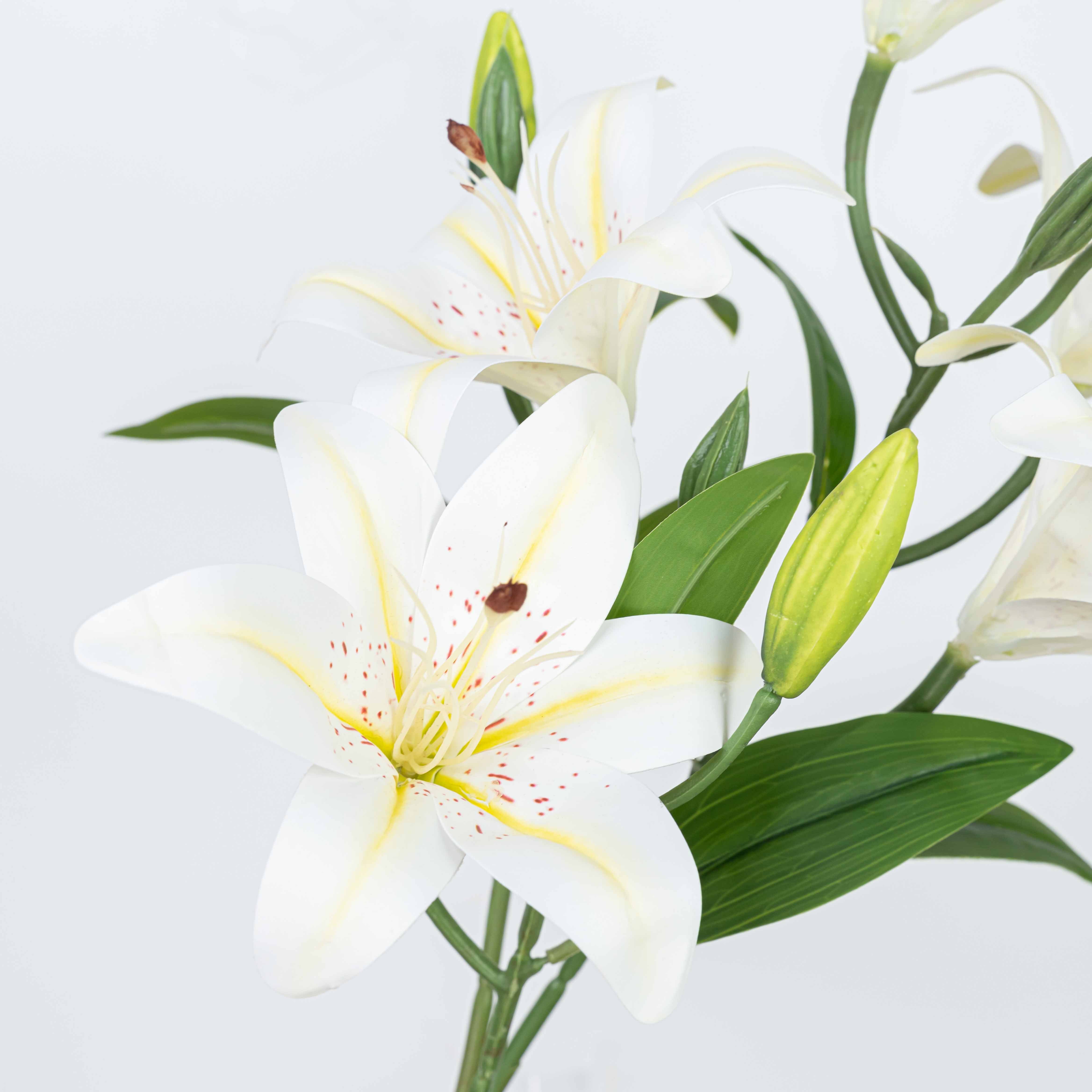 21" LILY BUSH WITH 5 HEADS