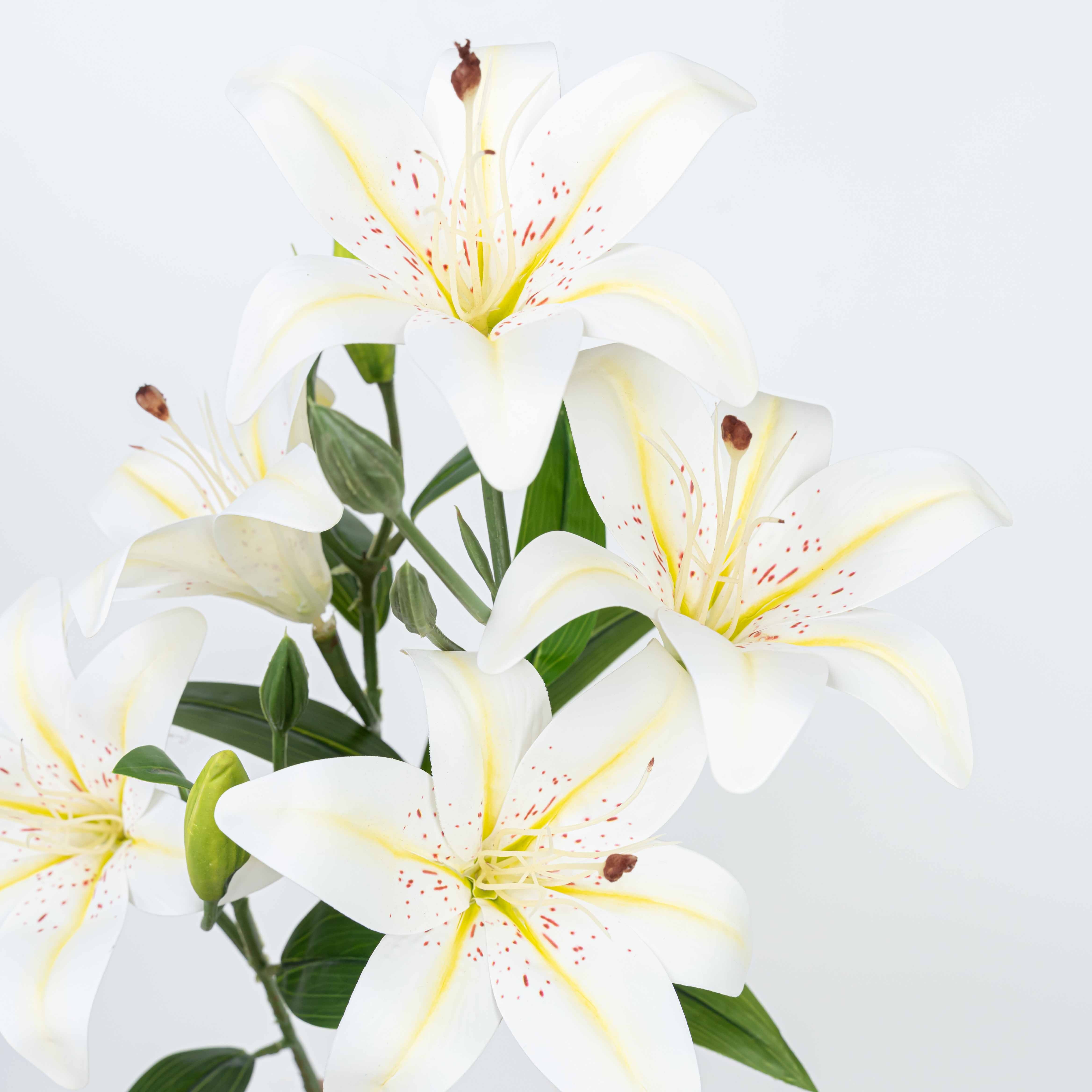 21" LILY BUSH WITH 5 HEADS