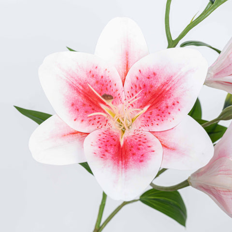 31.5" LILY SPRAY X 3