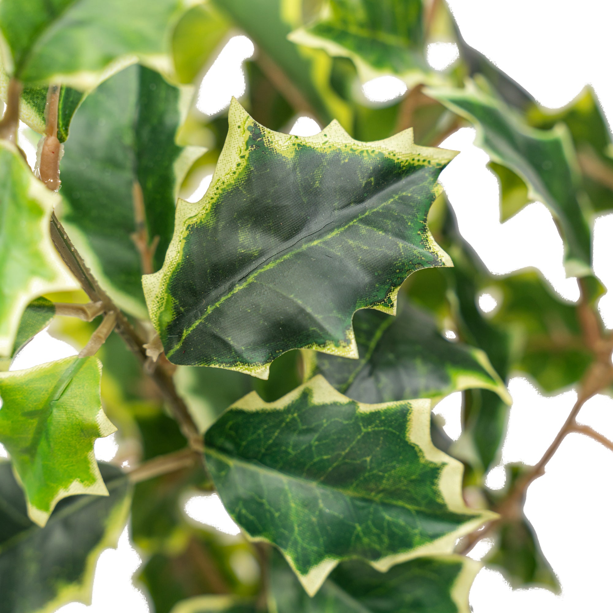 11" HOLLY BERRY BUSH