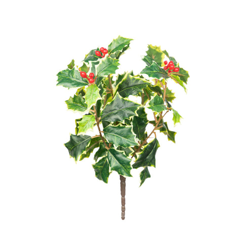 11" HOLLY BERRY BUSH