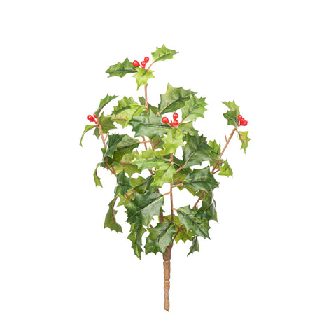 11" HOLLY BERRY BUSH