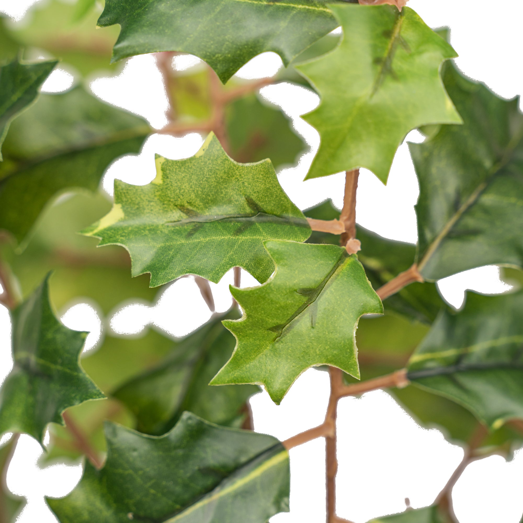 11" HOLLY BERRY BUSH