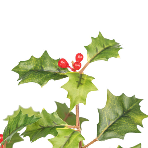 11" HOLLY BERRY BUSH