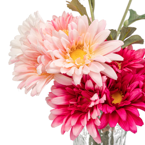 10" GERBERA BUNDLE X 8