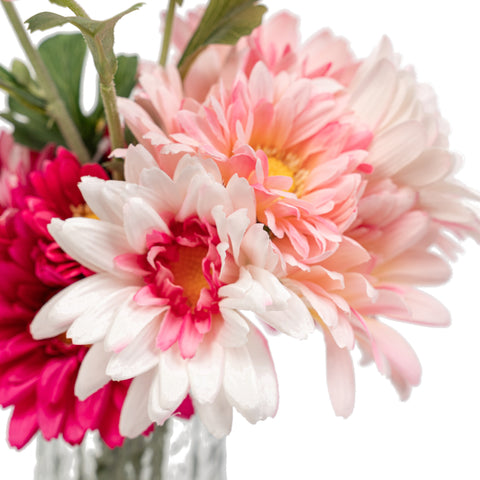 10" GERBERA BUNDLE X 8