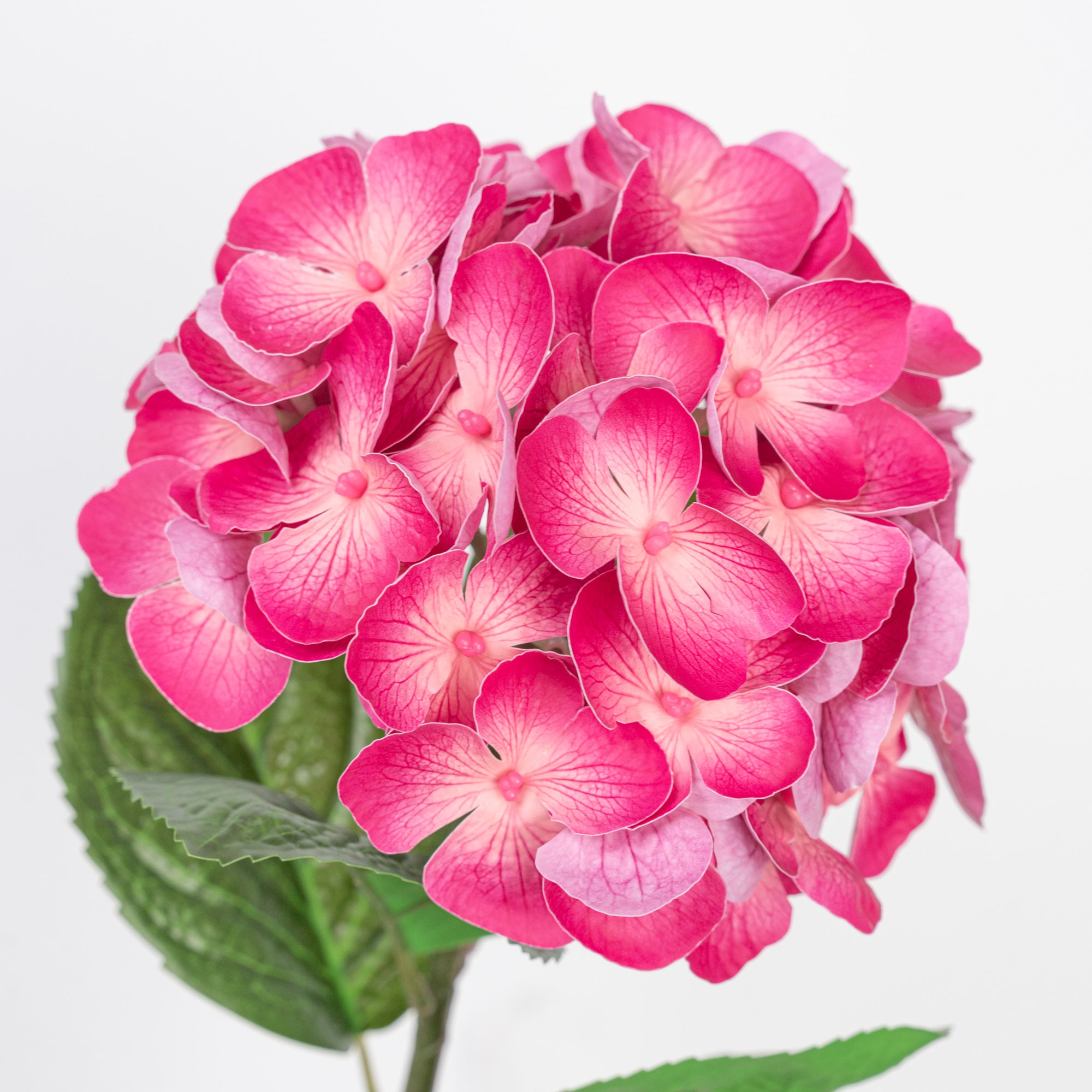 24" REAL TOUCH HYDRANGEA STEM