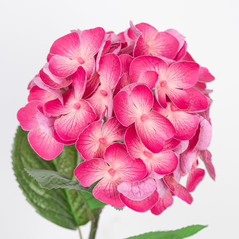 24" REAL TOUCH HYDRANGEA STEM