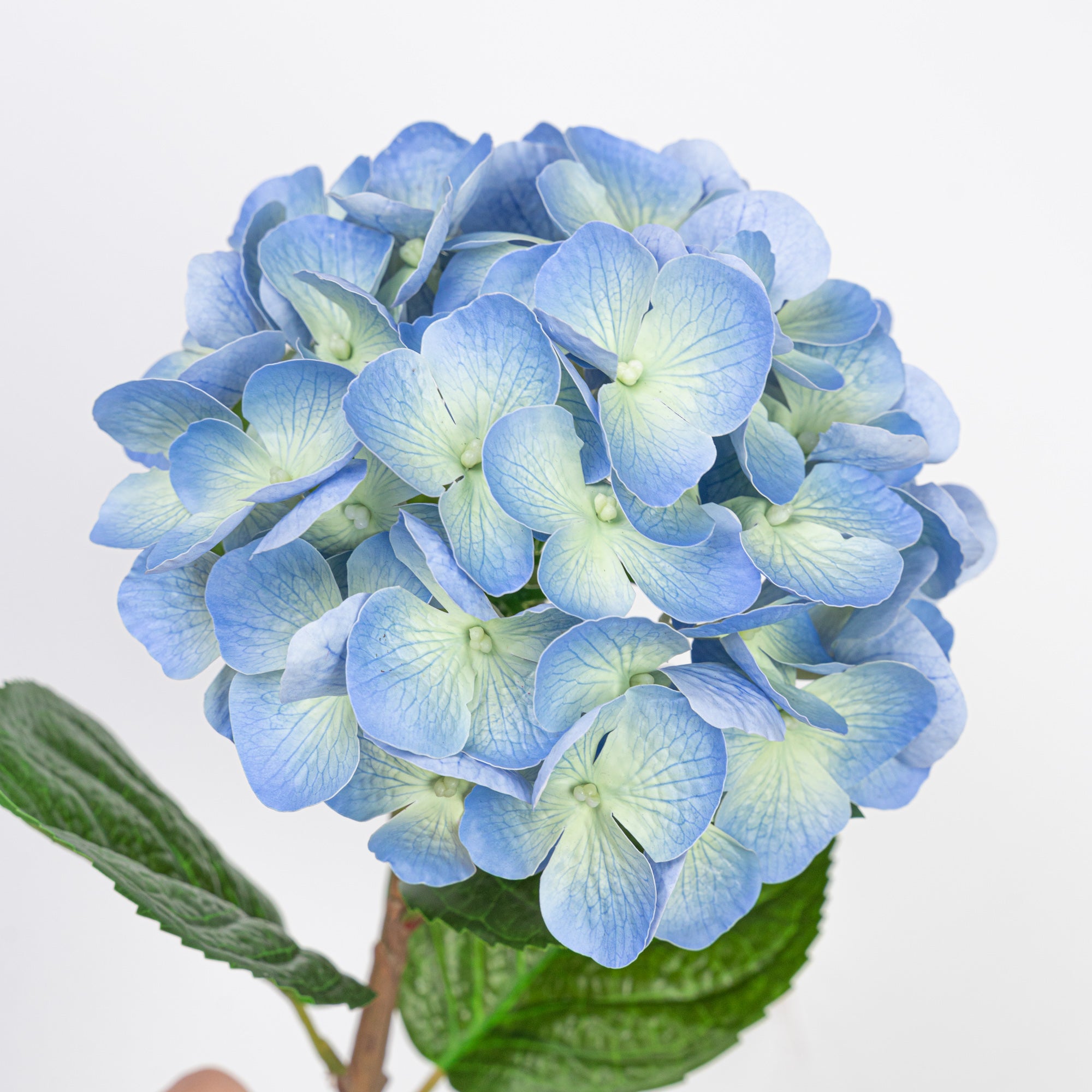 24" REAL TOUCH HYDRANGEA STEM