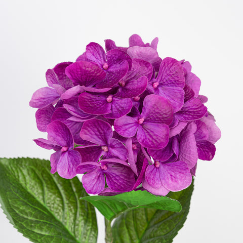 24" REAL TOUCH HYDRANGEA STEM