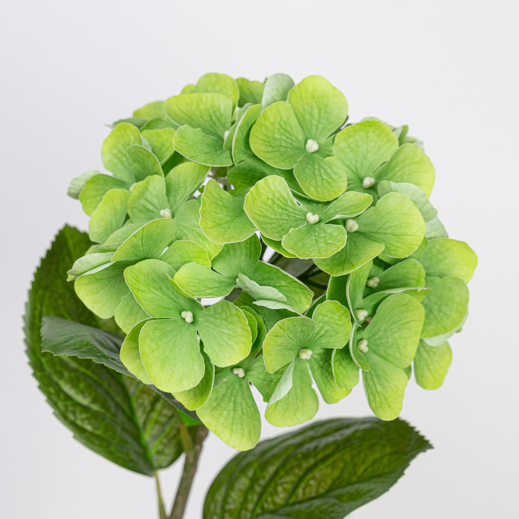 24" REAL TOUCH HYDRANGEA STEM