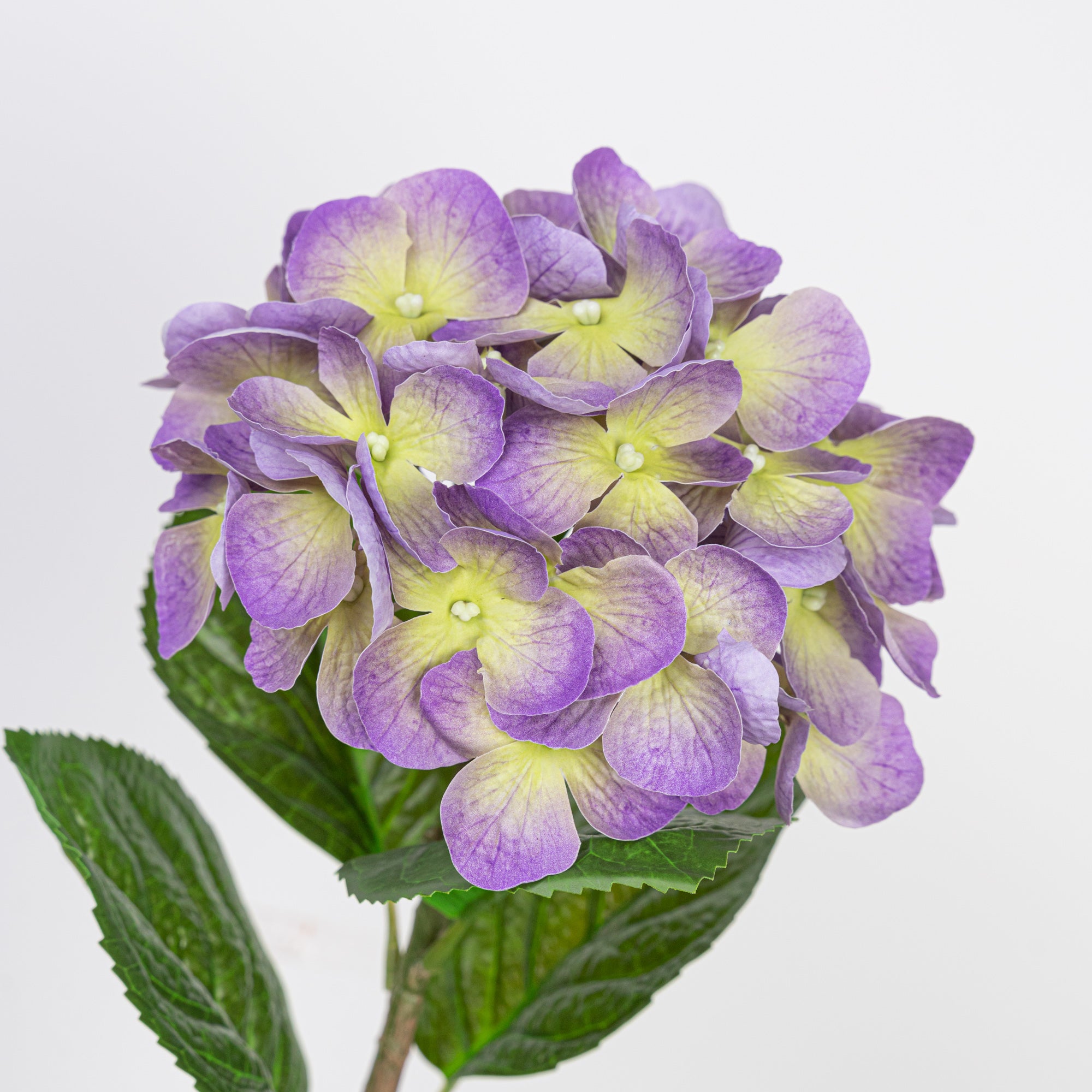 24" REAL TOUCH HYDRANGEA STEM