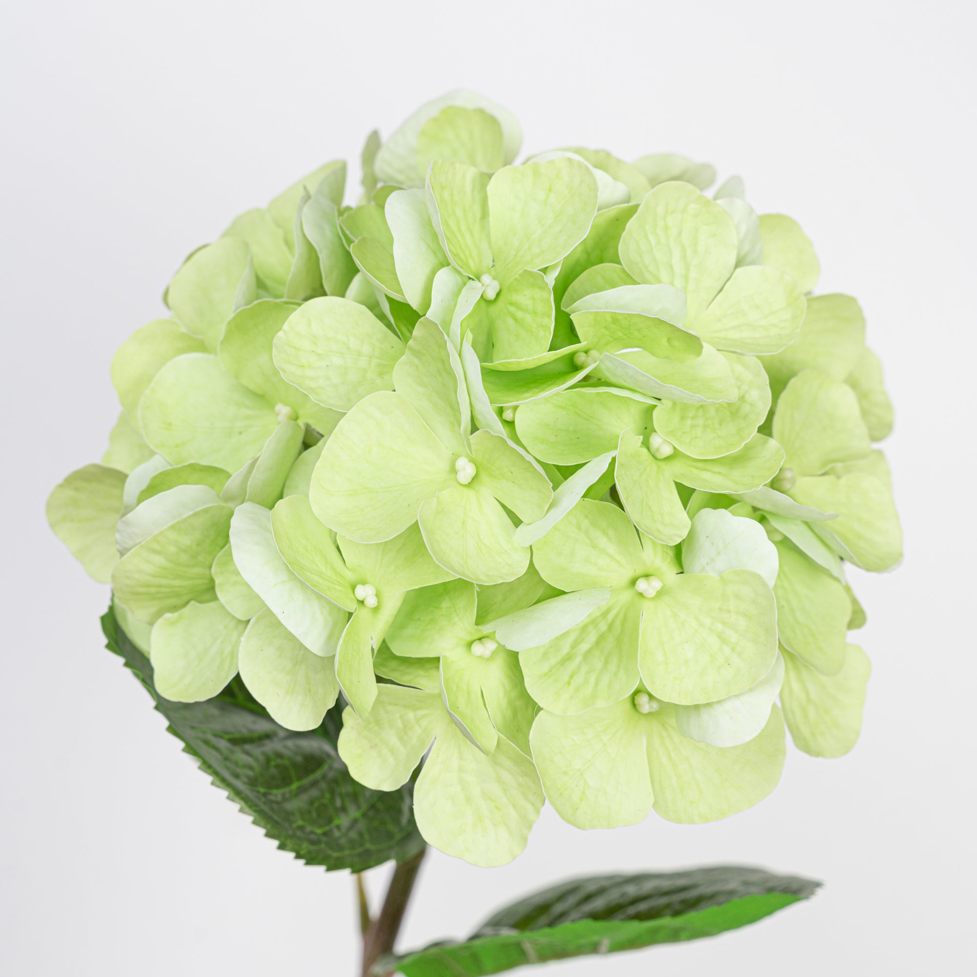 24" REAL TOUCH HYDRANGEA STEM