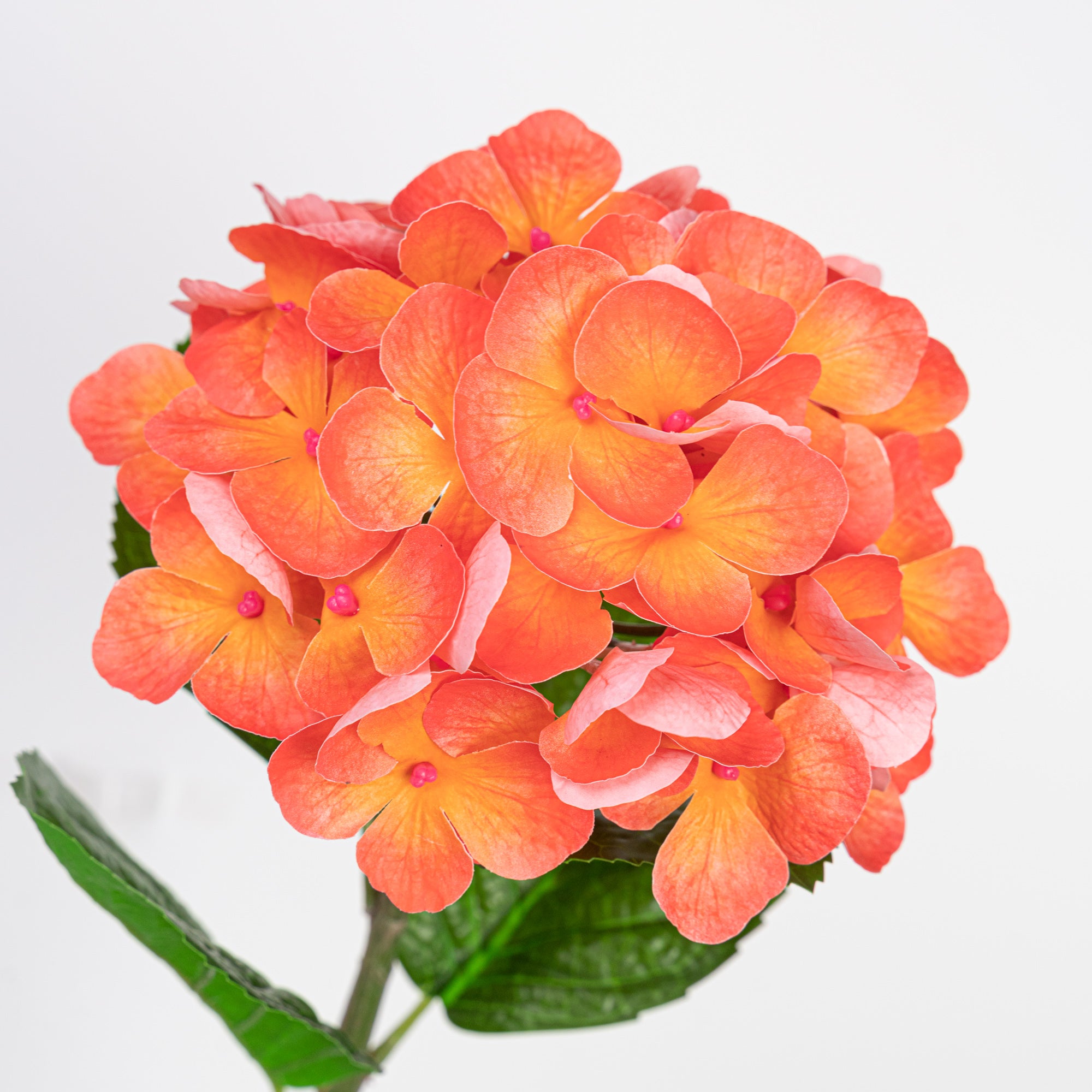 24" REAL TOUCH HYDRANGEA STEM