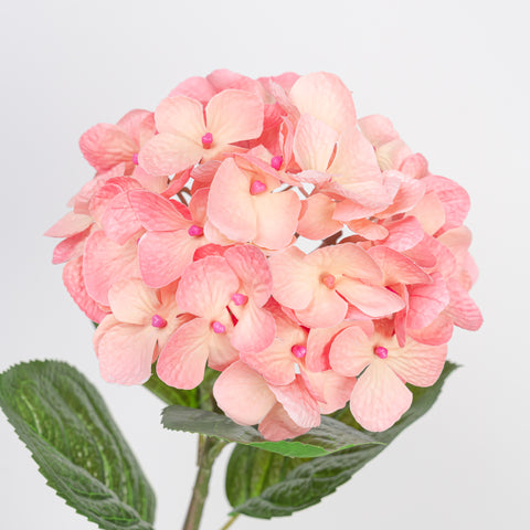 24" REAL TOUCH HYDRANGEA STEM