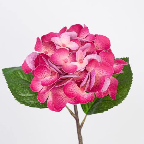 15.5" REAL TOUCH HYDRANGEA STEM