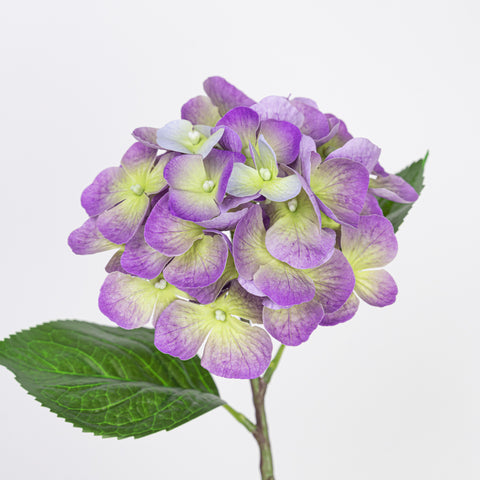 15.5" REAL TOUCH HYDRANGEA STEM