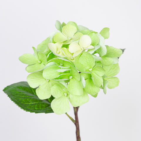 15.5" REAL TOUCH HYDRANGEA STEM