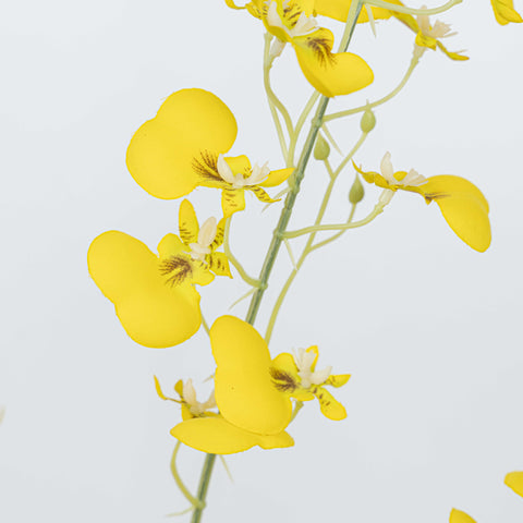 35" DANCING ORCHID SPRAY