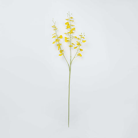 35" DANCING ORCHID SPRAY