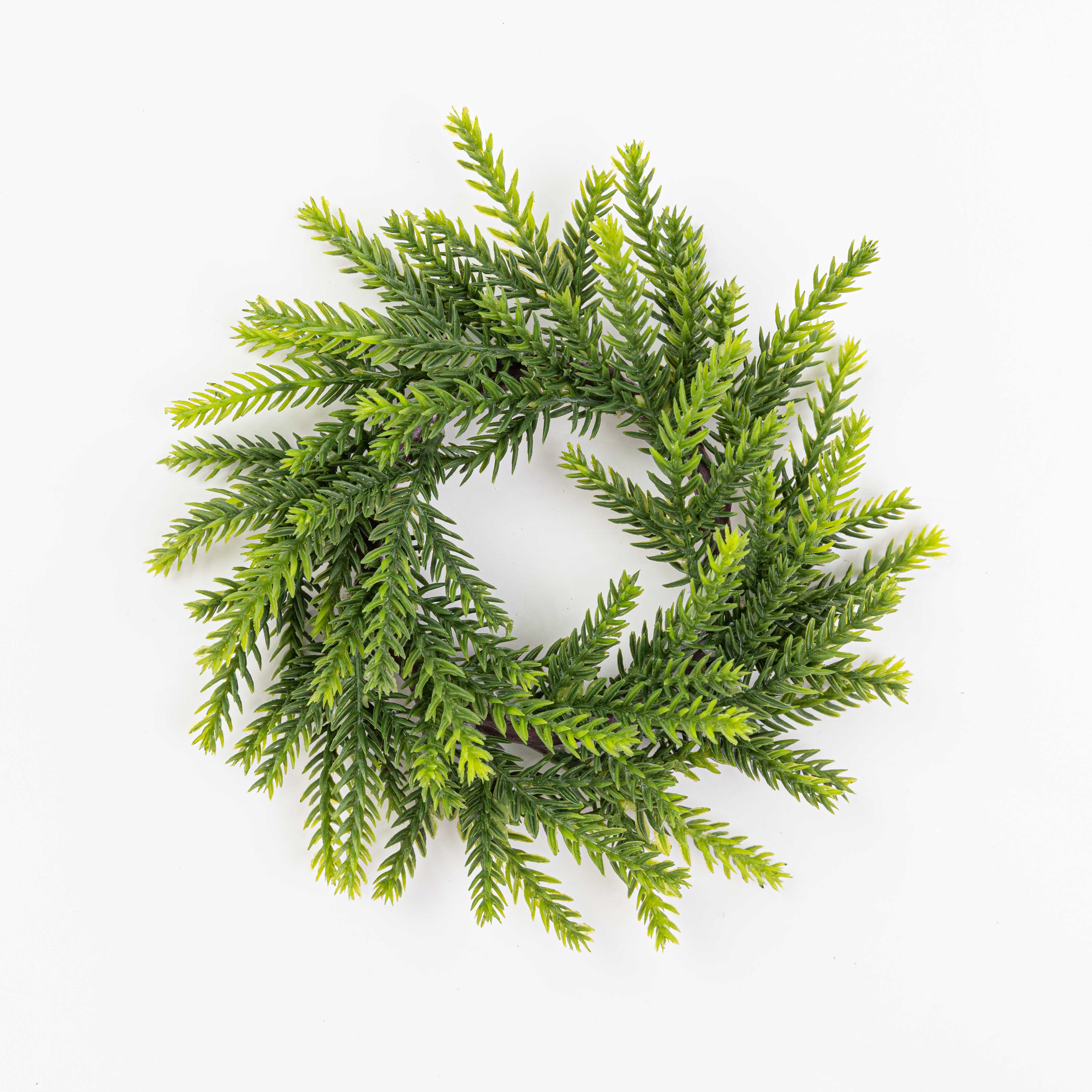 8" MINI SNOW FRASIER FIR CANDLE RING 3.5"ID