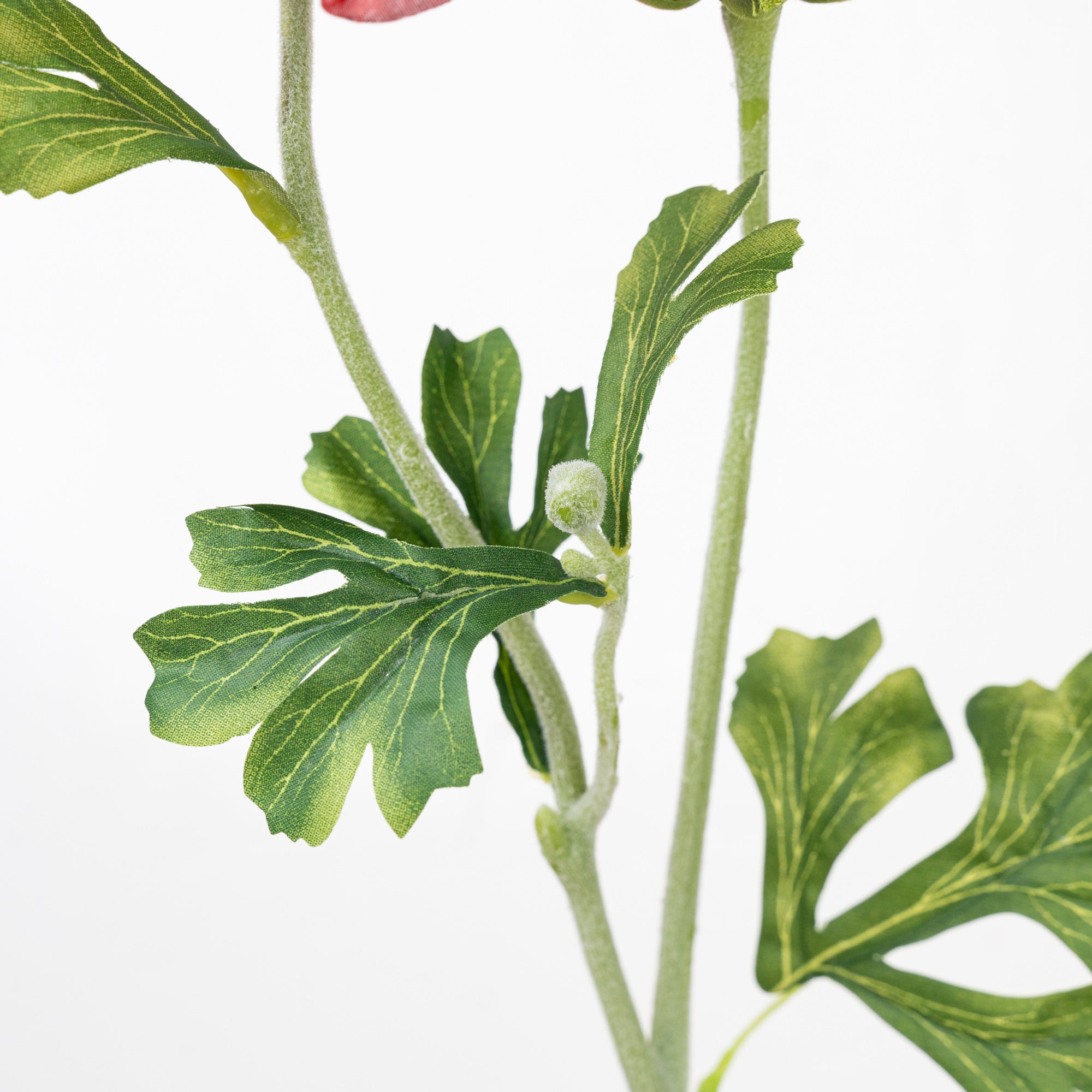 22" RANUNCULUS SPRAY X 2