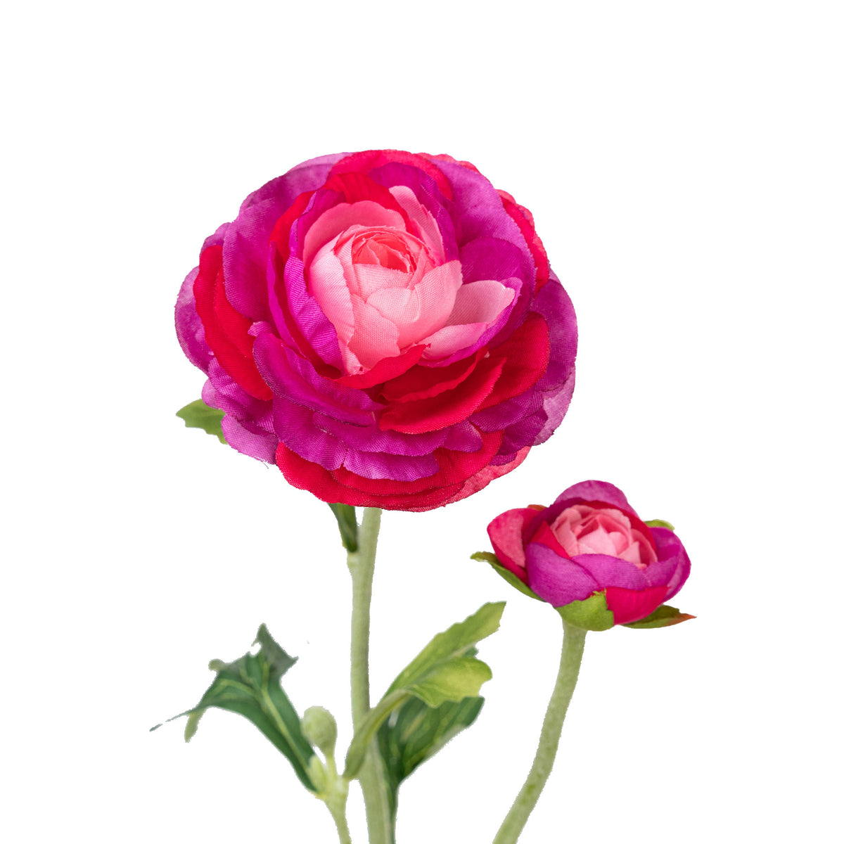 22" RANUNCULUS SPRAY X 2