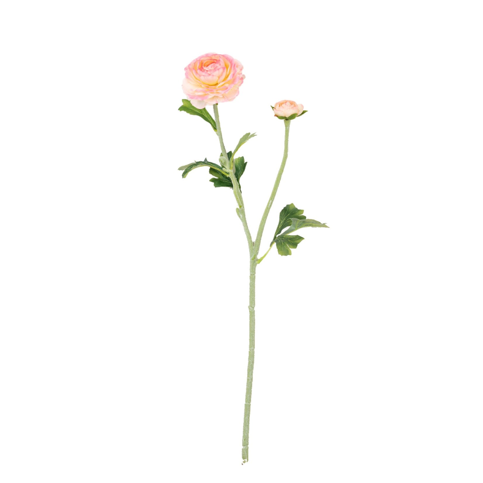 22" RANUNCULUS SPRAY X 2