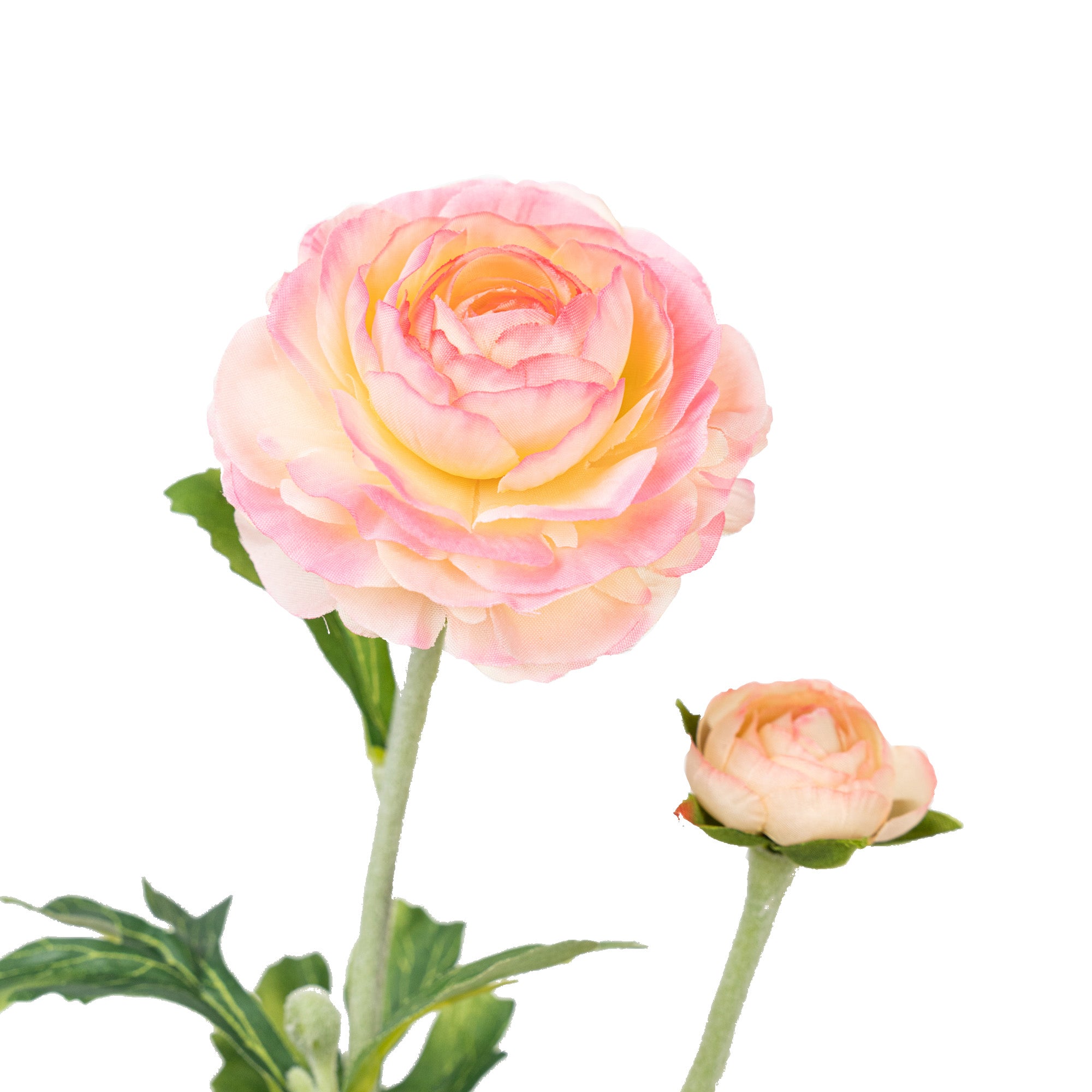 22" RANUNCULUS SPRAY X 2