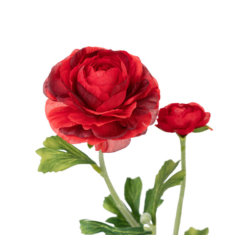 22" RANUNCULUS SPRAY X 2