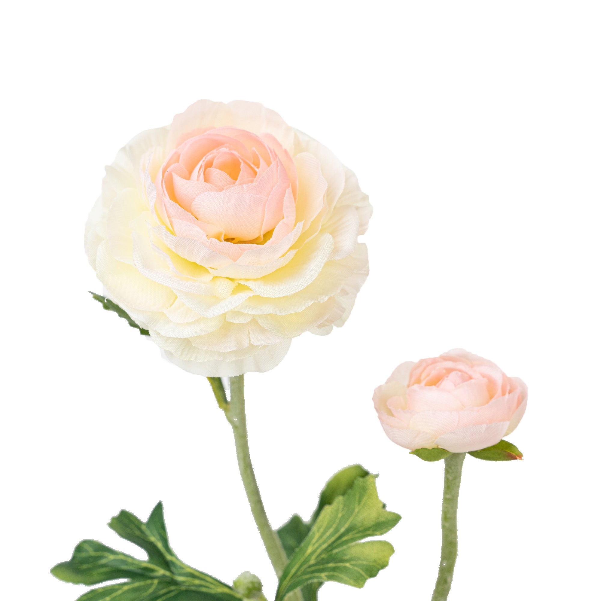 22" RANUNCULUS SPRAY X 2