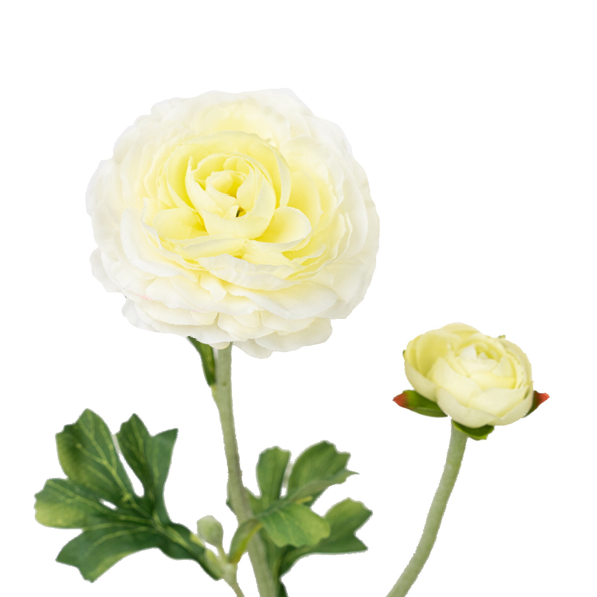 22" RANUNCULUS SPRAY X 2