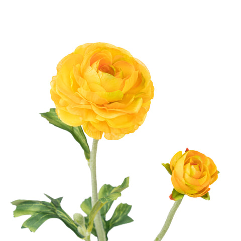 22" RANUNCULUS SPRAY X 2