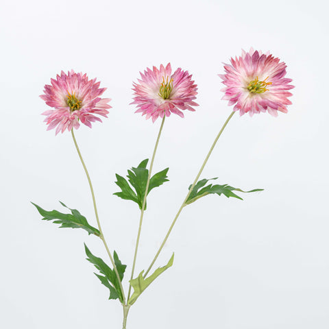 29" DAISY SPRAY