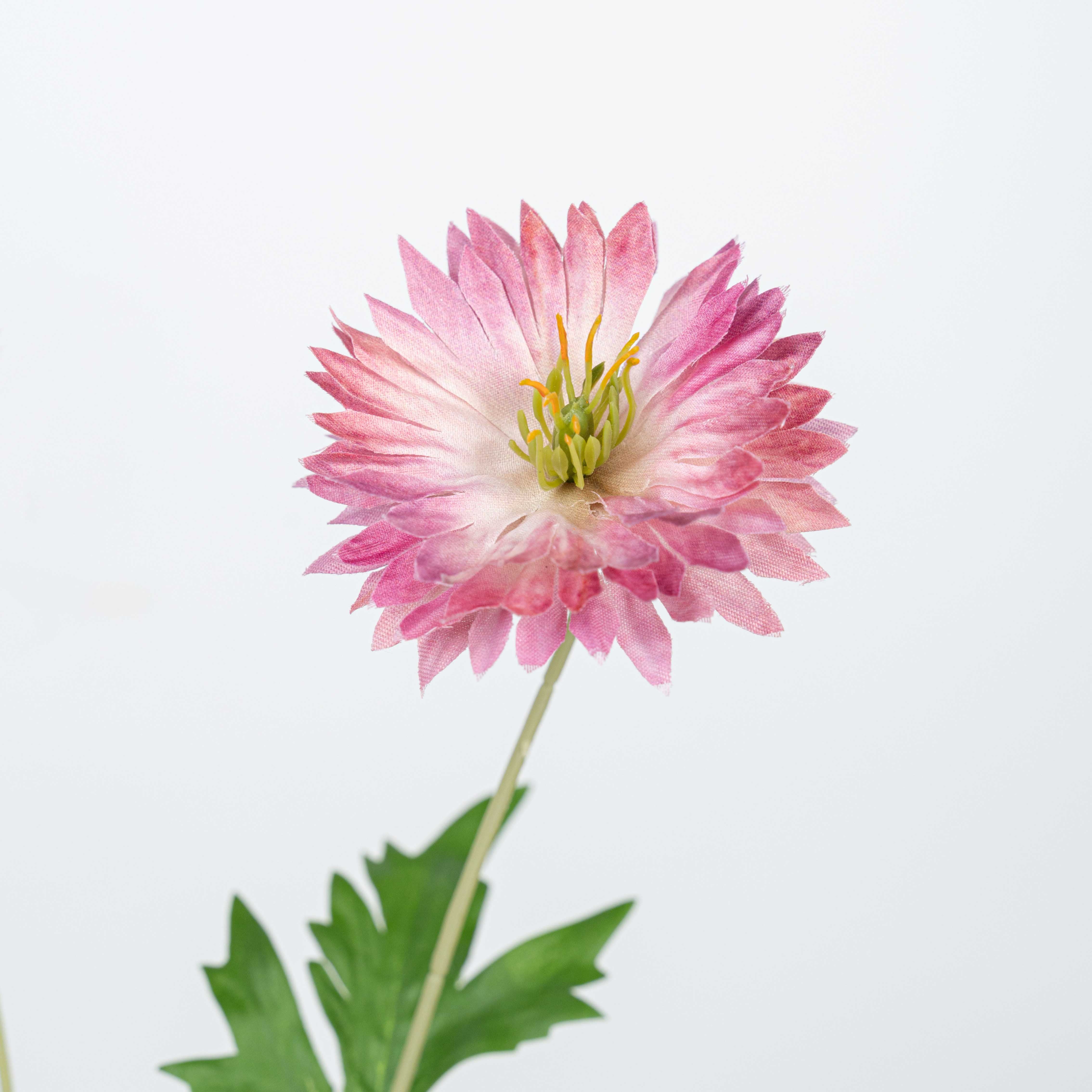 29" DAISY SPRAY