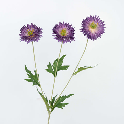 29" DAISY SPRAY