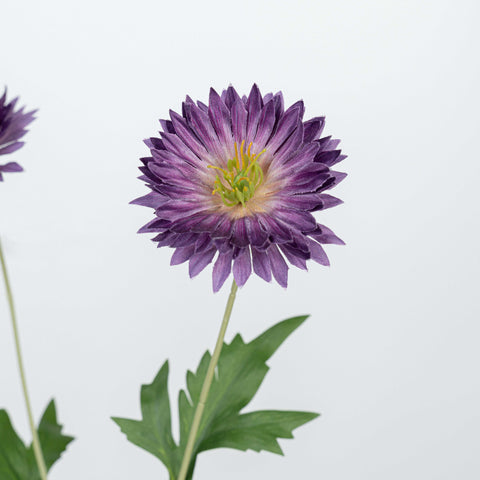 29" DAISY SPRAY
