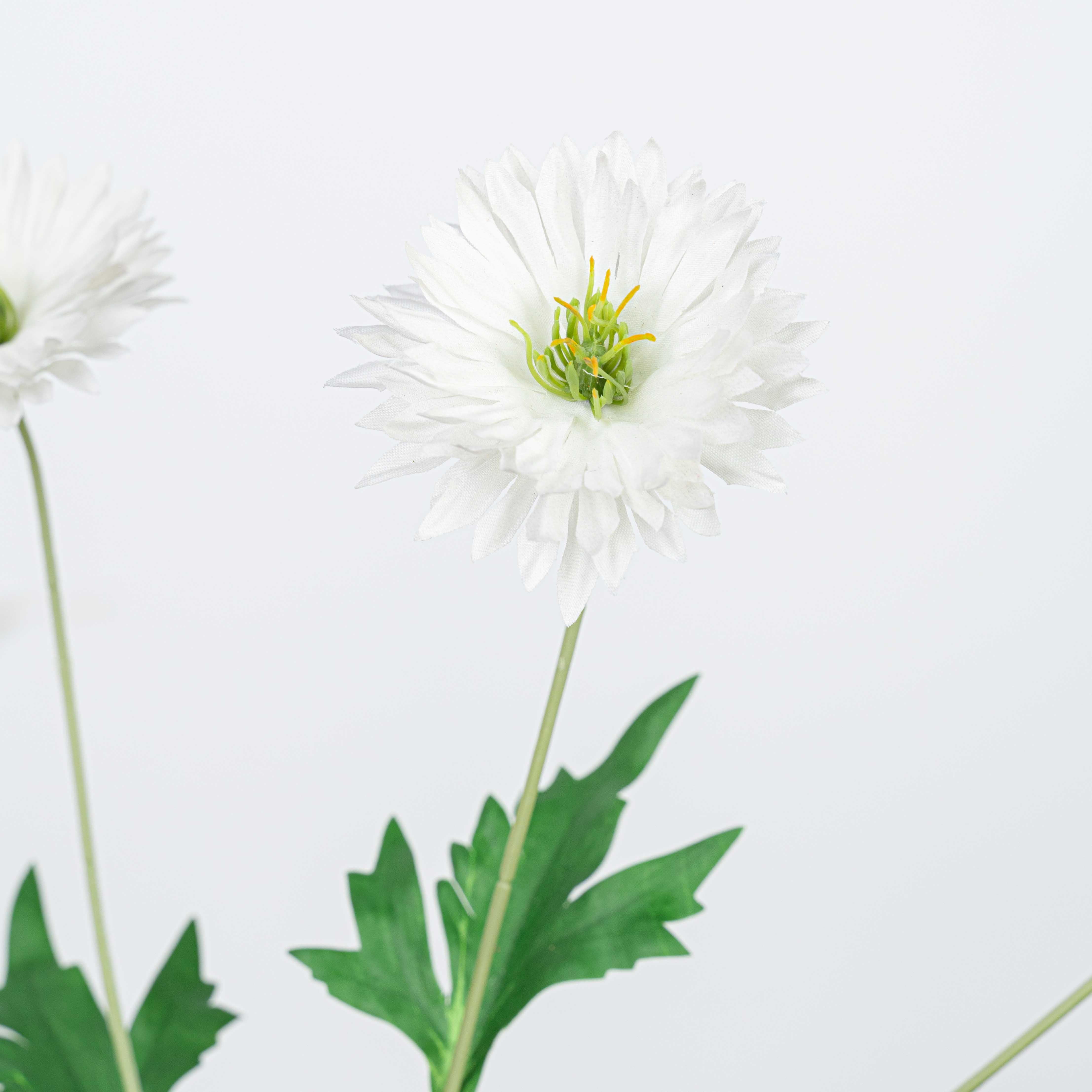 29" DAISY SPRAY