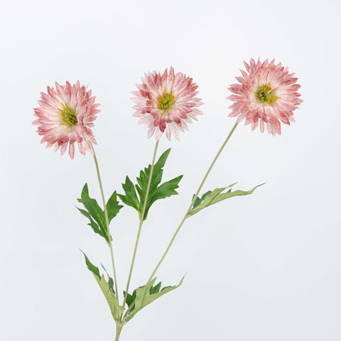 29" DAISY SPRAY