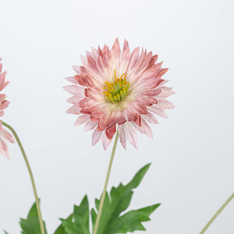 29" DAISY SPRAY