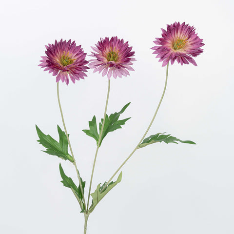 29" DAISY SPRAY