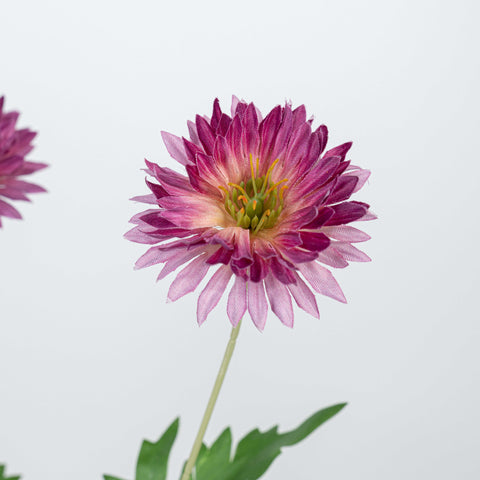 29" DAISY SPRAY