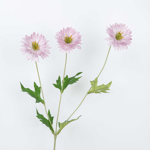 29" DAISY SPRAY
