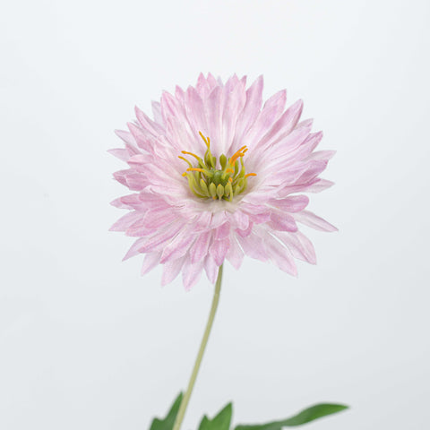 29" DAISY SPRAY