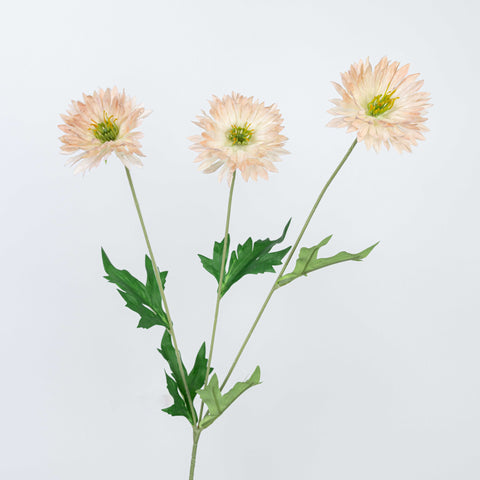29" DAISY SPRAY
