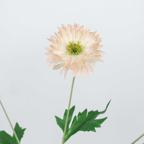 29" DAISY SPRAY