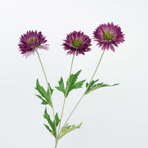 29" DAISY SPRAY