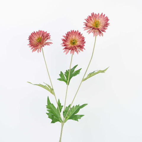 29" DAISY SPRAY
