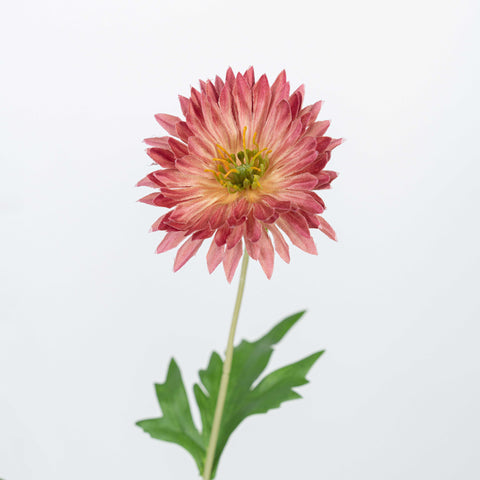 29" DAISY SPRAY